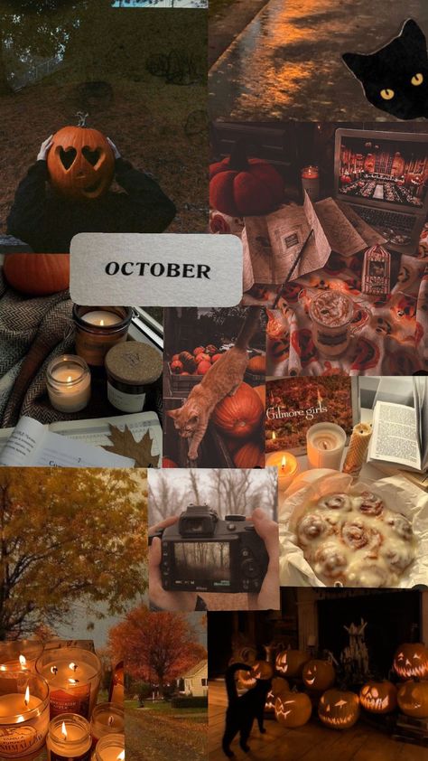 #months aesthetics #october #✨🫶🍁 October Aethestic, October Aesthetic Pictures, October Birthday Aesthetic, October Astethic, October Vision Board, October Motivation, October Aesthetics, October Core, Autumn Motivation