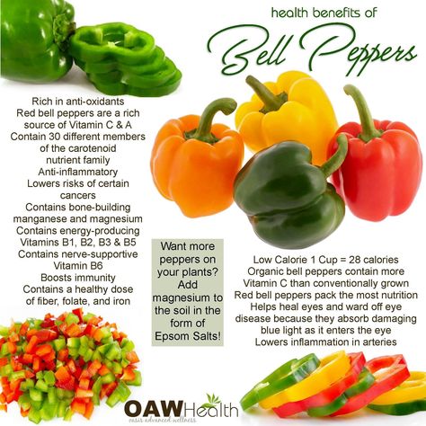 Bell Pepper Nutrition Facts, Bell Pepper Benefits Health, Pepitas Benefits, Benefits Of Bell Peppers, Bell Pepper Benefits, Pepper Benefits, Healthy Eating Meal Plan, Stuffed Peppers Healthy, Healthy Journey