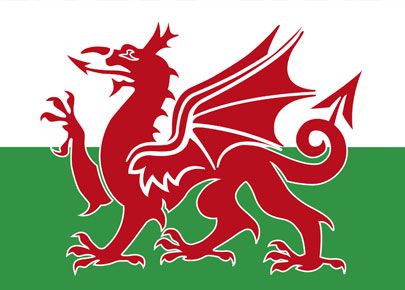 Welsh flag Wales Tattoo, Wales Dragon, Love Land, Mists Of Avalon, Wales Flag, Celtic Nations, Welsh Flag, Feel Nothing, God Save The Queen