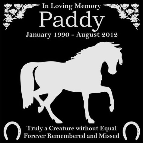 Personalized Pet Horse Memorial 12x12 Engraved Black Granite Grave Marker Head Stone Plaque PAD1 -- Continue to the product at the affiliate link Amazon.com. Granite Headstones, Horse Memorial, Pet Memorial Stones, Pet Grave Markers, Cocker Spaniel Dog, Horse Supplies, Custom Horse, Horse Quotes, Dog Items