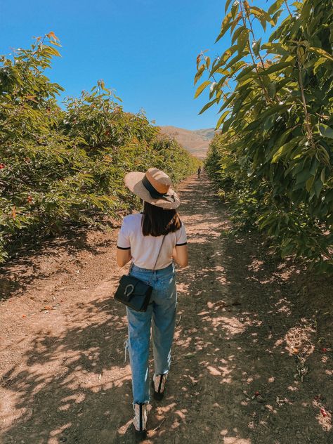 Cherry Picking Outfit Summer, Cherry Picking Outfit, Cherry Picking Photoshoot, Cute Strawberry Picking Outfits, Fruit Picking Outfit, Berry Picking Outfit, Bay Area Outfits, Picking Berries Aesthetic, Cherry Blossom Instagram Photos