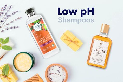 The Best Low pH Shampoos From 257+ pH-Balanced Hair Products We've Tested Rahua Shampoo, Project Notebook, Acv Rinse, Oily Hair Shampoo, African Lifestyle, Ph Balanced Shampoo, Mint Shampoo, Cute Natural Hairstyles, Oily Face