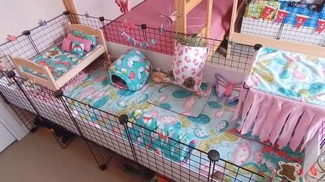 Cute Guinea Pig Cage Ideas, Pancakes Board, Indoor Guinea Pig Cage, Pig Habitat, Diy Guinea Pig Cage, Pig Ideas, Guinea Pig Cages, Guinea Pig Diy, Guinea Pig Hutch