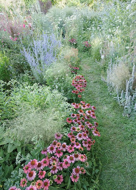 Pollinator Garden Design, Pollinator Plants, Lake Garden, Front Garden Landscape, Bloom Where Youre Planted, Permaculture Gardening, Garden Design Plans, Landscape Plan, Pollinator Garden