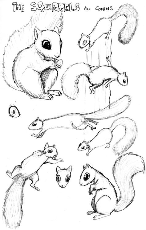 Cartoon Squirrel Tattoo, Cute Squirrel Drawing Easy, Easy Animals To Draw, Animals To Draw, Squirrel Drawing, Squirrel Tattoo, Squirrel Pictures, Easy Animal Drawings, Drawing Help