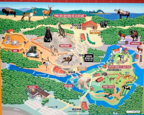 Le plan du zoo - Photo de Zoo Sauvage de Saint-Felicien, Saint-Felicien - TripAdvisor Zoo Map, Map Ideas, Nature Trail, Saint Martin, Trip Advisor, Map