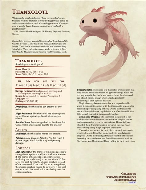 Thanxolotl Dnd Monsters Cute, Dnd Homebrew Companions, Dnd 5e Homebrew Familiars, Axolotl Dnd Character, Dnd Cute Monsters, Find Familiar Dnd, Dnd Homebrew Pets, D&d Animals, Small Dnd Character