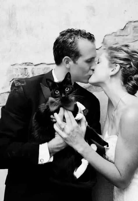 Cats In Weddings, Cat At Wedding, Cat In Wedding, Cat Wedding Ideas, Black Cat Wedding, Cat Marriage, Early Spring Wedding, Engagement Picture Outfits, Paper Rings