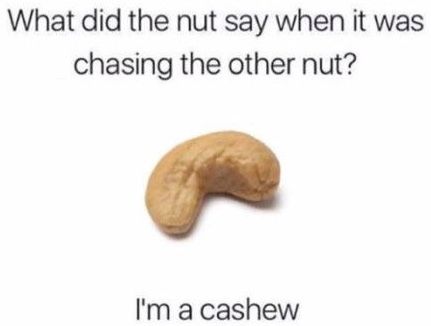 Nut joke Funny Corny Jokes, Best Dad Jokes, Bad Dad Jokes, Punny Jokes, Laughing Funny, Great Jokes, Cheesy Jokes, Dad Jokes Funny, Funny Puns Jokes