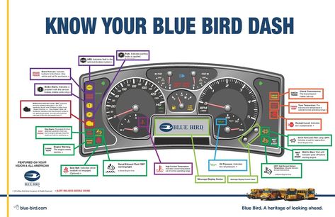 Bluebird Buses, School Bus Driving, Bus Engine, Drivers Test, Engine Diagram, Yellow School Bus, Inspection Checklist, Retirement Travel, Buses For Sale