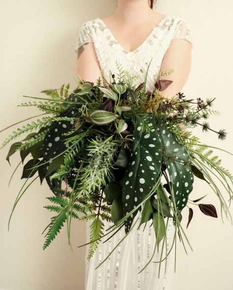 Mostly Green Bouquet, Live Plant Bouquet, House Plant Bouquet, House Plant Wedding Bouquet, Plant Lover Wedding, All Green Wedding Bouquet, Fern Wedding Bouquet, Houseplant Bouquet, Plant Bouquet Wedding