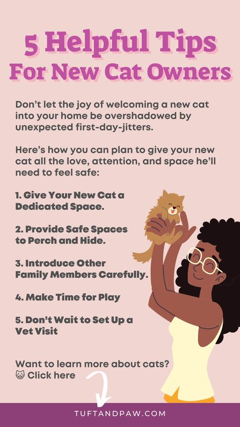 First Cat Owner Tips, Cat Owner Hacks, New Cat Owner, Cat Captions, First Time Cat Owner, First Day Jitters, Cat Tips, Get Rid Of Ants, Cat Proofing