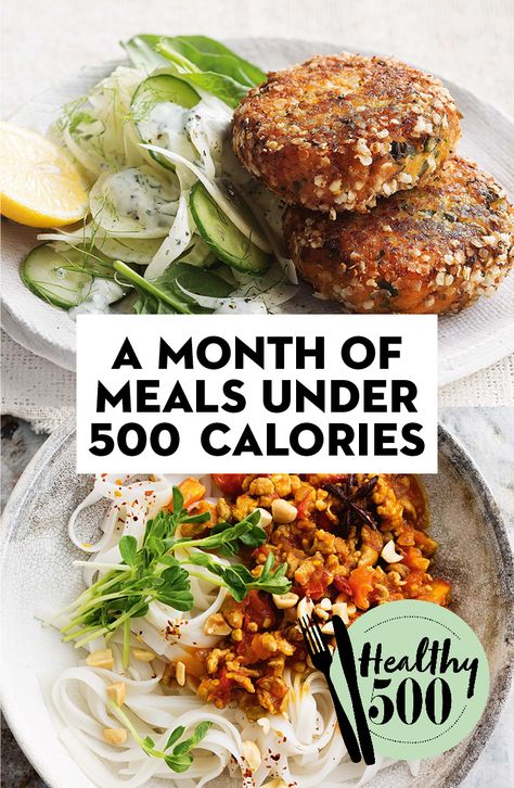 Month Of Meals, Meals Under 500 Calories, 500 Calorie Meals, Healthy Dinner Recipes Chicken, Low Fat Diets, Recipes Crockpot, 500 Calories, Dinner Recipes Crockpot, Vegetarian Recipes Dinner