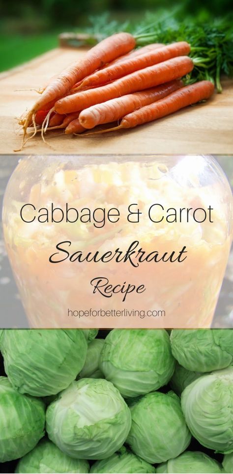 Canning Sauerkraut, Making Sauerkraut, Recipe For Fall, Fermenting Jars, Homemade Sauerkraut, Canning Vegetables, Fermented Cabbage, Sauerkraut Recipes, Fermentation Recipes