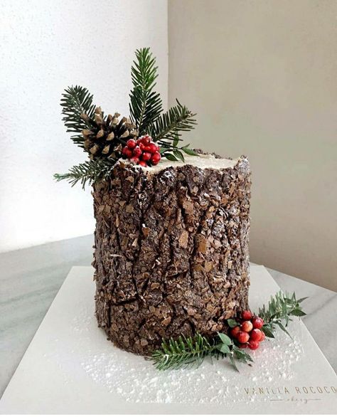 Winter Cake Ideas, Tree Stump Cake, Winter Torte, Easy Christmas Cake Recipe, Fake Cakes, Christmas Themed Cake, Yule Log Cake, Cakes Design, Christmas Cake Designs