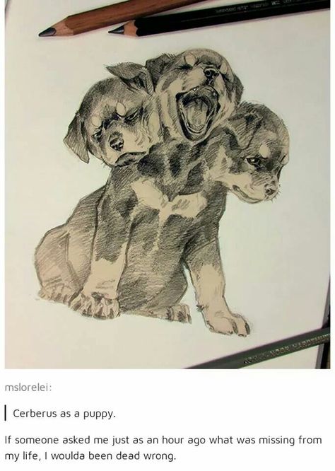 Greek Mythology Art Drawing, Cerberus Puppy, Arte Sketchbook, Wow Art, Greek Myths, Fantastic Beasts, A Drawing, Drawing Techniques, Greek Mythology