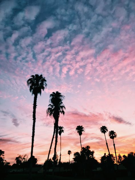 The sunsets around Palm Springs and in the Coachella Valley are unreal! 😍 Palm Springs Background, Coachella Aesthetic Wallpaper, Spring Landscape Photography, Palm Springs Landscaping, Palm Springs Decor, Palm Springs Aesthetic, Palm Canyon, Coachella 2024, Summer Moodboard