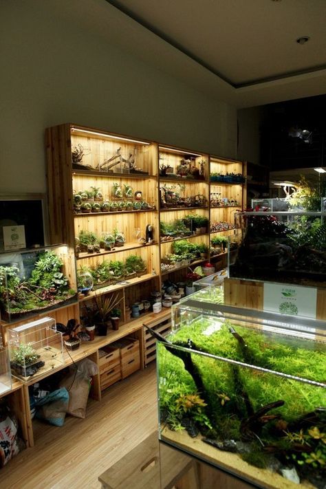 Hydroponic Nutrients, Indoor Farm, Aquarium Store, Water Forest, Aquarium Shop, Indoor Water Garden, Aquarium Terrarium, Reptile Room, Fishing Room