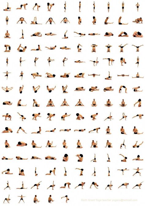 Yoga Workout Plan, Ramdev Yoga, Yoga Poses Chart, Hata Yoga, Yoga Sequence For Beginners, Yoga Poses For Back, Basic Yoga Poses, Simple Yoga, Yoga Beginners