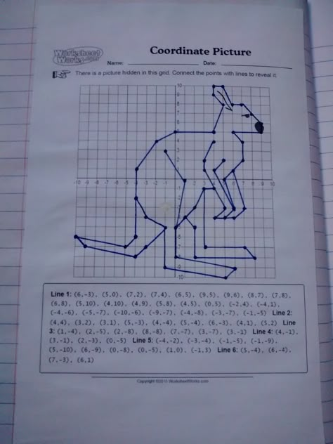 Coordinate Plane Pictures, Coordinates Math, Mystery Picture Graph, Coordinate Graphing Pictures, Coordinate Plane Graphing, Cartesian Coordinates, Graphing Linear Equations, Coordinate Grid, Interactive Student Notebooks