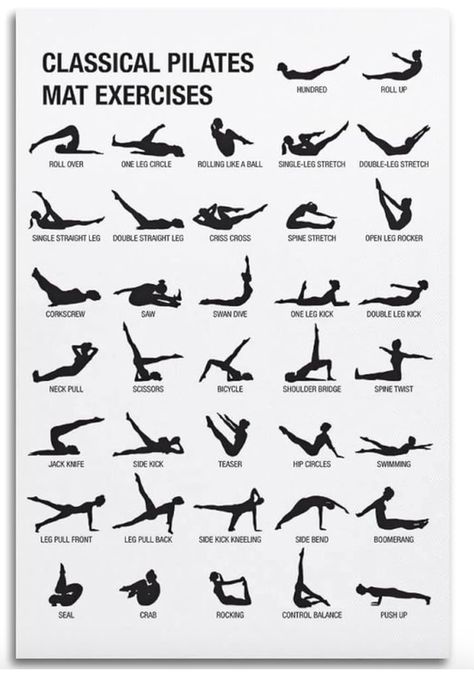 Pilates Basics, Easy Morning Workout, Intense Cardio Workout, Pilates Workout Plan, Yoga Progress, Pilates Training, Dancer Workout, Home Exercise Routines, Training Motivation