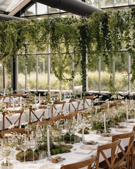 Dreamy greenhouse wedding setup!🌿 Featuring lush greenery, wildflowers, and elegant candles, this enchanting tablescape brings nature’s beauty indoors. Planning & Design @houseofluce⁣ Photography @liselorestap.weddings Florist @edeniquefloraldesign⁣ Stationery @stationery_stories Wedding Setup, Wedding Aesthetics, Elegant Candles, Greenhouse Wedding, Wedding Set Up, Lush Greenery, Plan Design, Wedding Inspo, Tablescapes