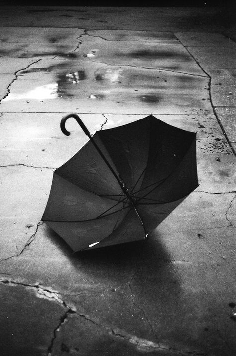 Rainy Days And Mondays, Mycroft Holmes, Love The Rain, I Love Ugly, I Love Rain, Limbus Company, White Umbrella, Love Rain, Rain Umbrella