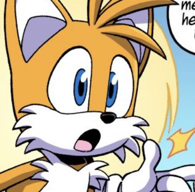 Tails Icon Sonic, Tails The Fox Icons, Sonic Yippie, Tails Sonic Icon, Tails Miles Prower, Tails Pfp, Tails Icons, Tails Fanart, Miles Prower