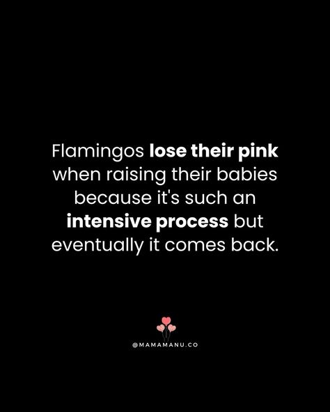 I recently came across a fascinating fact that deeply resonated with me. Flamingos, known for their elegance, experience an incredible change while caring for their young—they temporarily lose their signature pink color. This made me think about the challenges of motherhood and how we sometimes feel as though we’ve lost a part of ourselves. But, just like the resilient flamingos, we too will eventually rediscover our vibrant selves. To all the amazing mothers, remember that in time, we will r... In Time, The Amazing, Pink Color, Flamingo, Fun Facts, Lost, Things To Come, The Incredibles, Feelings