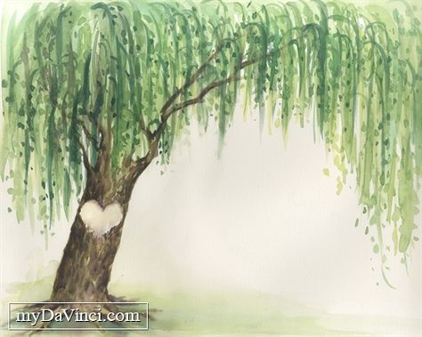 Painting Of Willow Tree, Willow Tree Wall Art, Watercolour Willow Tree, Watercolor Weeping Willow, Willow Tree Watercolor Painting, Willow Tree Painting Easy, Willow Tree Watercolor, Watercolor Willow Tree, Willow Tree Drawing