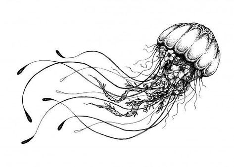 the doodle jellyfish on freepik Jellyfish Art Drawing, Jellyfish Vector, Jellyfish Images, Jellyfish Lantern, Jellyfish Jewelry, Jellyfish Illustration, Jellyfish Photography, Jellyfish Tank, Jellyfish Decorations