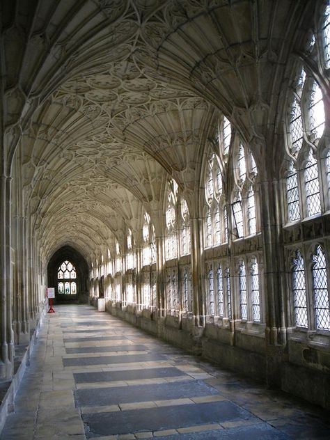 Cloisters at Gloucester Cathedral, England Cathedral Hallway, Chartres Cathedral Interior, Chichester Cathedral, Chartres Cathedral, Chester Cathedral, Gloucester Cathedral, Architecture Classic, Mystical Places, Light Magic