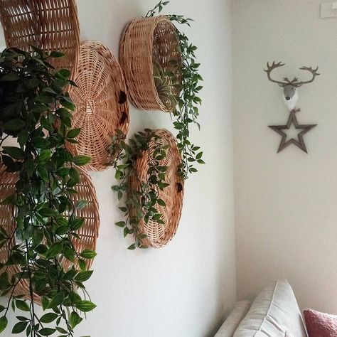 Kitchen Interior With Plants, Boho Baskets On Wall, Basket Wall Living Room, Basket On Wall Decor, Diy Boho Wall Decor, Basket Walls, Boho Baskets, Rattan Wall Decor, Sun Wall Decor