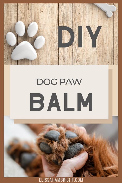 Balm For Dog Paws, Dog Paw Salve Diy, Dog Paw Balm Recipe, Dog Paw Balm Diy, Paw Balm For Dogs Diy, Diy Paw Balm For Dogs, Defuser Oils, Diy Dog Paw Balm, Dog Chewing Paws