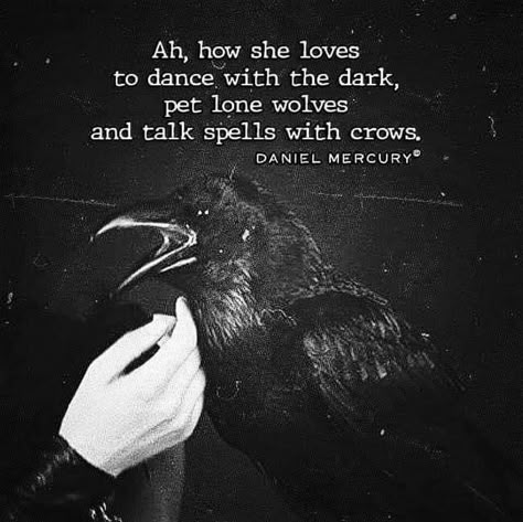 Raven Quotes, Witchy Words, Grimoire Journal, Raven And Wolf, Myths & Monsters, Gothic Room, Witch Tips, Which Witch, Witchcraft Spell Books