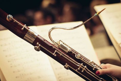 The Bassoon is an amazing instrument. See some world-class tutorials here ⭆ https://teds-list.com/tutorial/wind/bassoon/ ⭅ #bassoon #bassoonist #bassoonlife #bassoonists #bassoonplayer #bassoonreed #contrabassoon #100daysofpractice #windinstrument #musicalinstrument #musicstudent Bassoon Aesthetic, Orchestra Aesthetic, Bassoon Instrument, Singing Techniques, Woodwind Instrument, Woodwind Instruments, Music Student, Complex Systems, Concert Band