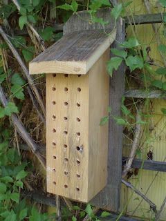 Bee Habitat, Backyard Habitat, Mason Bee House, Backyard Bee, Bee Houses, Bee Hotel, Solitary Bees, Bug Hotel, Mason Bees