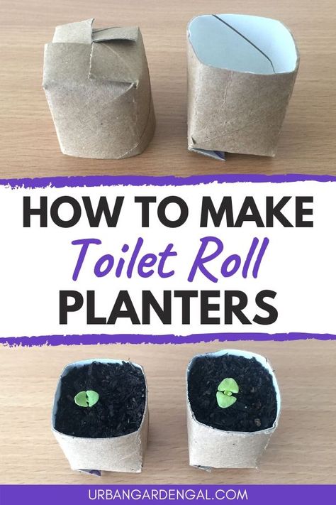 Toilet roll planters are a great way to reduce waste and they're fun for kids to make. Here's a handy guide to make seedling pots out of used toilet rolls. #planters #pots #upcycled Toilet Roll Planters, Paper Plant Pots, March Craft, Upcycled Planter, Gardening Tricks, Toilet Roll Craft, Cardboard Rolls, Seedling Pots, Seed Pots