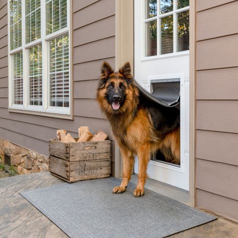 Dog Door Ideas, Doggy Doors, Diy Doggie Door, Best Dog Door, Large Dog Door, Pet Patio Door, Pet Doors, Door Images, Giant Breeds