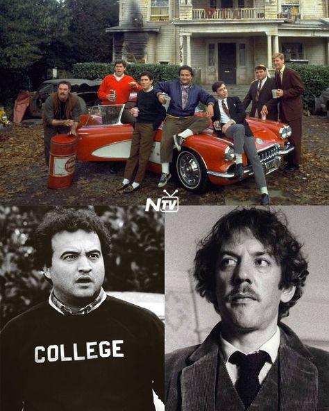 John Belushi Animal House, National Lampoon's Animal House, John Belushi, Camera Operator, National Lampoons, Animal House, Fraternity, Movie Tv, Physics