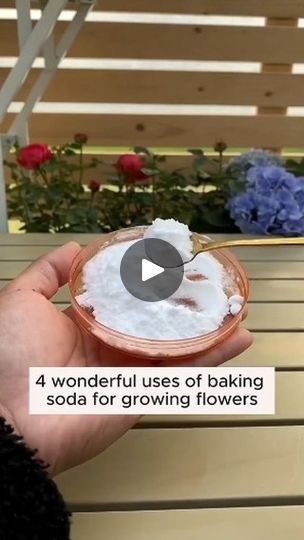 875 reactions · 388 shares | Simple gardening tips and tricks #gardening #garden #gardeningtips #gardenlife #gardeninspiration #gardenideas #gardenlove #gardendesign #gardenersofinstagram #gardenersworld #garden_styles #gardenphotography #gardenlovers #gardenerslife #gardenart #gardenbeauty #gardensofinstagram #gardenplants #gardenviews #gardenersparadise #gardenista #gardeningcommunity #gardenloversclub #gardenaddict #gardeners #gardenerslife | Amazing Garden | amazing_garden_86 · Original audio Creative Gardens, Gardening Tips And Tricks, Tips For Growing Tomatoes, Plant Tips, Lucky Plant, Garden Remedies, Plant Care Houseplant, Plant Hacks, Gardening Plants