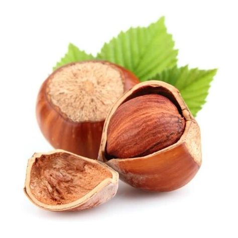 24. Hazelnuts - 25 Foods You Can Re-Grow Yourself from Kitchen Scraps Hazelnut Tree, Regrow Vegetables, Indoor Vegetable Gardening, Orzo, Grocery Shop, Living Food, Growing Vegetables, Dried Fruit, Fruit Trees