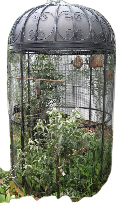 Bird Cage In Garden, Outdoor Bird Cage, Bird Cage Ideas, Big Bird Cage, Antique Bird Cages, Pet Bird Cage, Large Bird Cages, Bird Aviary, Bird Cage Decor