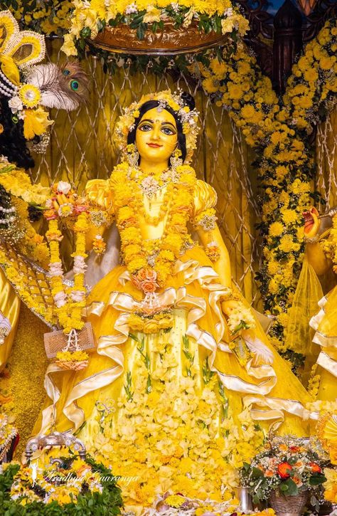 Mor Pankh Background, Radhe Govind, Radha Radha, Indian Culture And Tradition, Basant Panchami, Krishna Avatar, Shree Krishna Wallpapers, Radha Krishna Quotes, Krishna Book