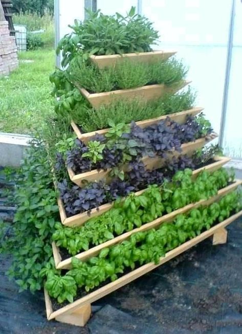 Vegetable Garden Planters, Spring Vegetable Garden, Vertical Vegetable Gardens, Vertical Garden Design, Vertical Vegetable Garden, Small Vegetable Gardens, Vertical Herb Garden, Vegetable Garden Diy, Vertical Garden Diy