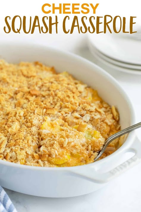 Cheesy Squash Casserole Best Squash Casserole, Cheesy Squash Casserole, Easy Squash Casserole, Cheesy Squash, Southern Squash Casserole, Summer Squash Casserole, Yellow Squash Casserole, Potluck Side Dishes, Cracker Toppings