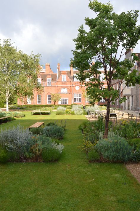 We worked on the soft landscaping at Newnham College, University of Cambridge - featuring these gorgeous bedding plants which are dotted around a huge central courtyard. It's a communal space in classic English style but with a contemporary edge. #artoflandscapes #contemporarygarden #courtyard #gardendesign Boarding School Garden Aesthetic, Campus Courtyard Design, University Landscape Design, College Courtyard, University Courtyard, Oxford University Exterior, University Landscape, Newnham College, Soft Landscaping