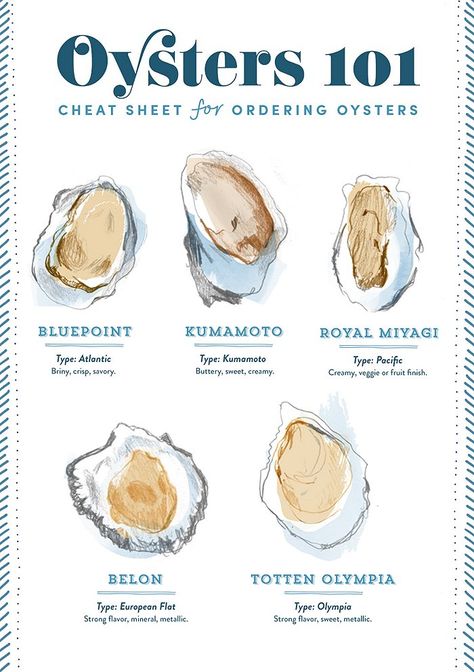 The perfect oyster cheat sheet! Oyster And Champagne Bar, Oysters Aesthetic, Champagne And Oysters, Oyster Dishes, Oysters And Champagne, Oyster Roast, City Los Angeles, Raw Oysters, Hood Canal