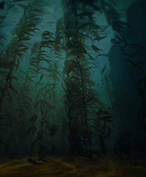 Kelp Forest, Water Aesthetic, Mermaid Aesthetic, Deep Water, Underwater Photography, Underwater World, Nature Aesthetic, Photography Inspo, Deep Sea