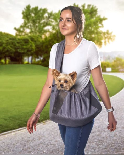 Dog Backpack Carriers: What to Look For – Dogster Wirehaired Vizsla, Dog Backpack Carrier, Entlebucher Mountain Dog, English Coonhound, Dog Carrier Sling, Redbone Coonhound, Dog Sling, Kerry Blue Terrier, Bluetick Coonhound